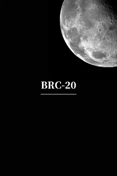 BRC-20 标准研究报告