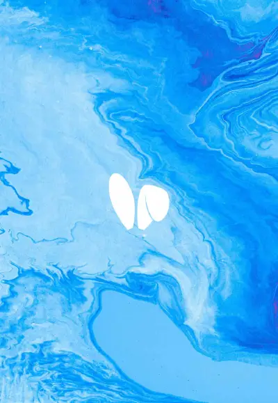 friend.tech 万字研报