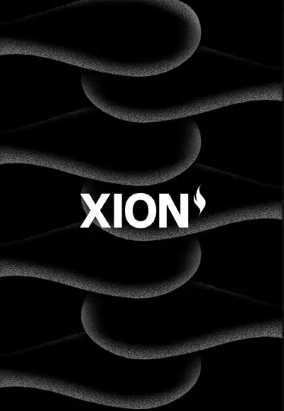 通用抽象 L1 网络 XION 万字研报